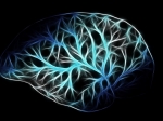 Foto de Conexión entre neuroinflamación y Alzheimer