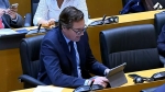 Foto de  Diputado español: 