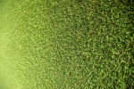 Foto de ¿Para qué sirve la arena de sílice en el césped artificial?