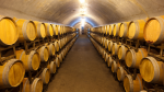 Foto de Escapada con cata de vinos