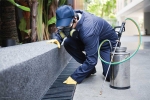 Foto de Control de Plagas de Cucarachas: Cómo Eliminar Esta Amenaza en el Hogar y Negocios