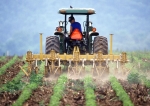 Foto de Mascaró Agricultors optimiza la productividad agrícola en Lleida con servicios profesionales y sostenibles