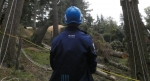 Foto de ASPY integra el cálculo de la huella de carbono como herramienta preventiva en salud laboral