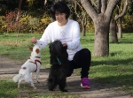 Foto de Consejos para que perros y gatos disfruten de la primavera según Herbolario para animales