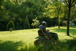Foto de Qué son las desbrozadoras y por qué son tan útiles para el jardín