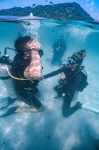 Foto de Pura Vida Diving Koh Tao refuerza su liderazgo en formación profesional y conservación marina