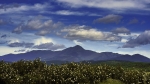 Foto de ADEL activa ayudas por valor de 700.000 € para dinamizar la Sierra Norte de Guadalajara