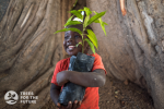 Foto de Smoking Paper logra plantar 200.100 árboles para #GivingTuesday en su iniciativa Roll with Green