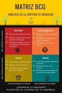 Decisiones estratégicas para emprendedores: la matriz BCG