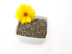 8 priopriedades de las semillas de chia que se deben conocer
