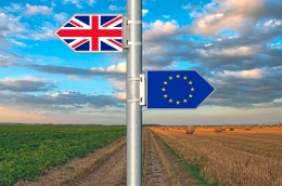 El sector agrícola advierte que el brexit podría traer consecuencias para la agricultura