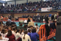 Los atropellos viales, denunciados en el Día Mundial de las Víctimas de Accidentes de Tráfico 