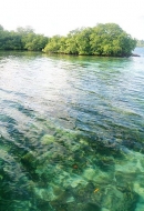 Caribbean Nature Eco-Luxury Resort, Bocas del Toro, Panamá: El turismo de lujo, aventuras y descanso