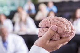 Ispeduc funda el primer Máster en Neuropsicopedagogía online a nivel mundial