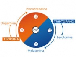 La Cronobiología Nutricional, el efecto de los alimentos en el cuerpo lo dicta el reloj