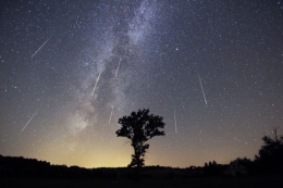 Sprinter da las claves para pasar una noche de acampada viendo la luz de las Perseidas