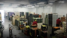 Natural Fruits S.L. inaugura nuevas instalaciones en Mercabarna