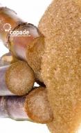Fundación COPADE explica siete motivos para sustituir los azúcares refinados por panela