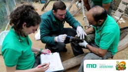 Acuerdo entre la Escuela de Veterinaria MasterD y Oasis Park Fuerteventura
