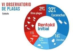 Las cucarachas son la plaga que más problemas produce en Cataluña, pero no la única