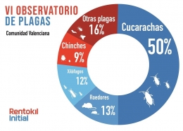 Casi el 50% de las llamadas por plagas en la Comunidad Valenciana en 2017 se debieron a las cucarachas