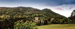 Cata de vinos en Torre Loizaga