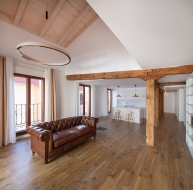 Las plagas, una constante en proyectos de reformas de casas y edificios, según Rentokil Initial