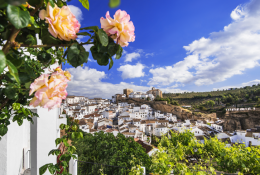 Barceló Montecastillo revela cual es ruta turística imprescindible por 19 pueblos del sur