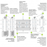 Como instalar una valla de Madera composite para jardín según Neoture