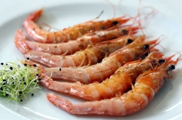 Materia Prima, una excelente propuesta gastronómica en el Corazón de Madrid