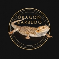 Dragon Barbudo como Mascota