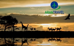 Descubriendo destinos únicos para 2024: Bosnia y Eslovenia, Armenia, Dubái y un Safari inolvidable en Kenia, con ARANTRA