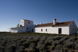José Baganha, Premio Rafael Manzano de Aqruitectura
