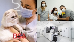 UNAVETS anuncia una asociación estratégica con el Banco de Sangre Animal portugués, BSA 