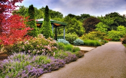 ¿Por qué son importantes las reformas de jardines en Madrid