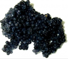 El caviar de Beluga, manjar del mundial de Rusia