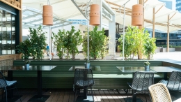 La cadena de restaurantes saludables GreenVita cumple 7 años y prosigue su expansión