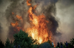 Extintores: Seguridad contra Incendio en Automóviles.