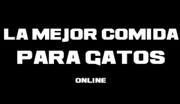 La mejor comida para gatos online 2021