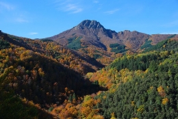 Envenda.cat i El Montseny: Una simbiosi d'experiència immobiliària en un entorn privilegiat