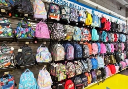 Mochilas y carros escolares para la vuelta al cole.