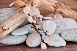 Collares de conchas marinas 
