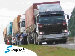 Logisef S.A.S Logistica efectiva 