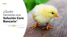  La aplicación software para el sector financiero y bancario es VisionCredit