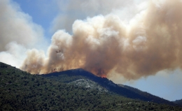 La tecnología y los datos, aliados en la prevención de incendios forestales