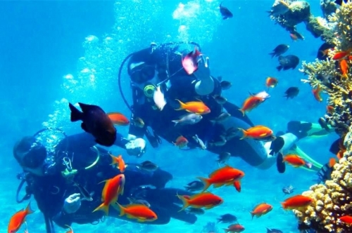 Buceo, un deporte milenario y una experiencia casi mística