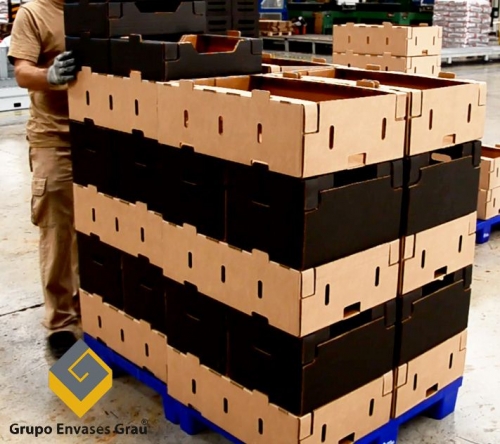 Grupo Envases Grau revoluciona el sector de envases de cartón con su sistema modular