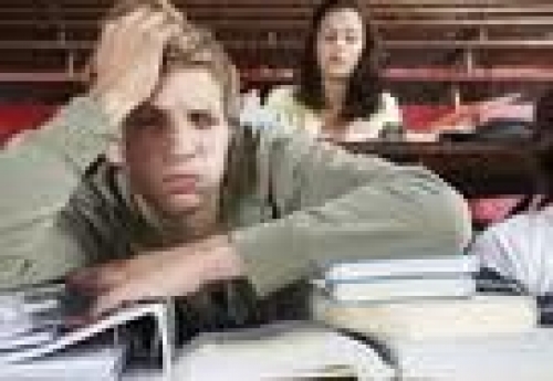Bachillerato Internacional, una educación con salidas laborales