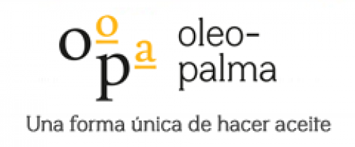 Consumir aceite de oliva reduce la incidencia del cáncer