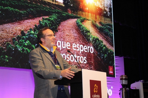 Cafento crecerá en 2017 hasta alcanzar una facturación de 80 millones de euros